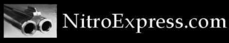 NitroExpress.com logo